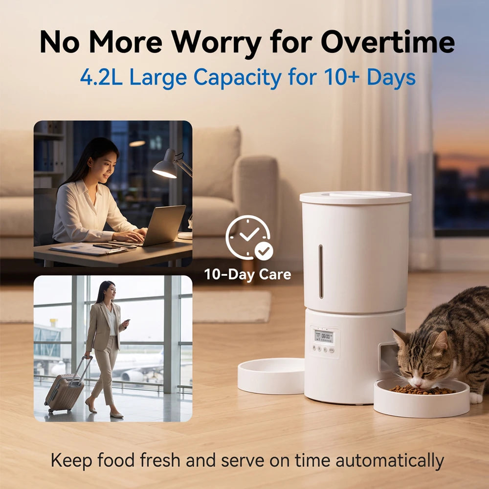 4.2L Cat Automatic Feeder, Pet Feeder with 2 Bowls, Programmable Automatic Dog Feeder, Cat Food Dispenser